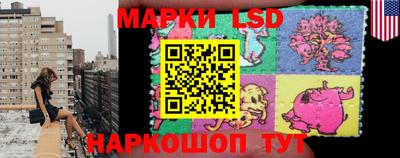 индика Ставрополь
