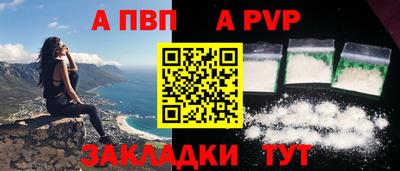 индика Ставрополь