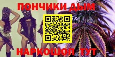 индика Ставрополь