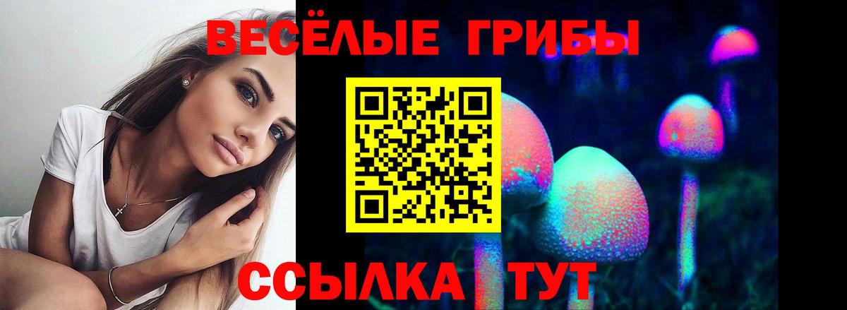 Псилоцибиновые грибы GOLDEN TEACHER Богородицк